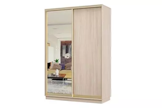 Шкаф-купе 2-дверный Практик МИНИ