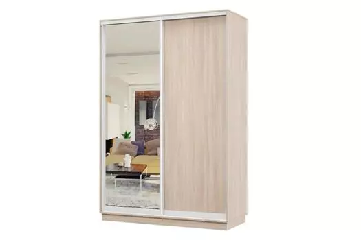 Шкаф-купе 2-дверный Практик МИНИ