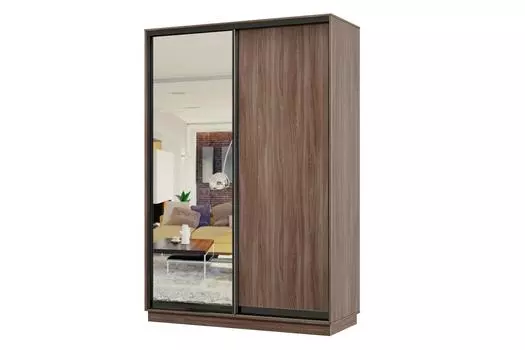 Шкаф-купе 2-дверный Практик МИНИ