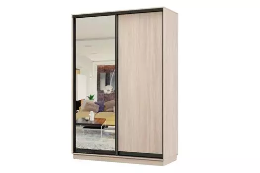 Шкаф-купе 2-дверный Практик МИНИ