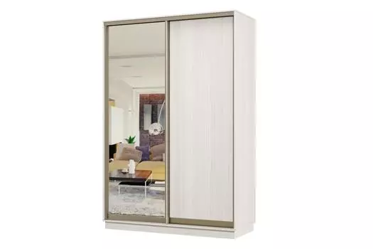 Шкаф-купе 2-дверный Практик МИНИ