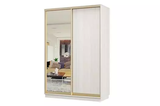 Шкаф-купе 2-дверный Практик МИНИ