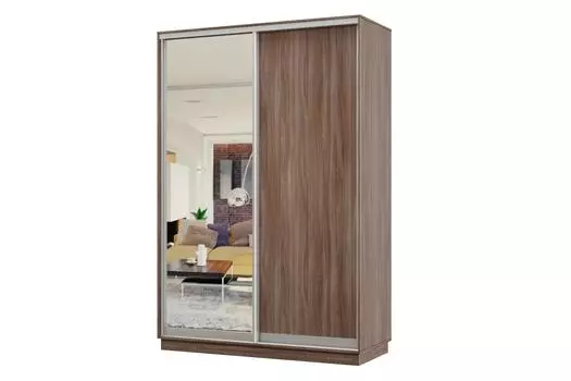Шкаф-купе 2-дверный Практик МИНИ