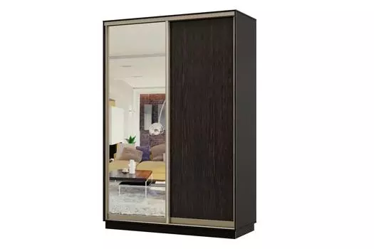 Шкаф-купе 2-дверный Практик МИНИ