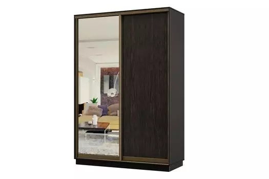 Шкаф-купе 2-дверный Практик МИНИ