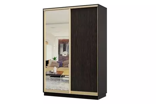 Шкаф-купе 2-дверный Практик МИНИ