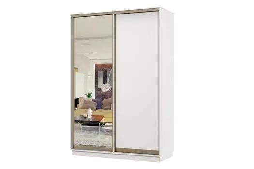 Шкаф-купе 2-дверный Практик МИНИ