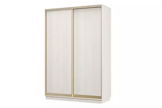 Шкаф-купе 2-дверный Практик МИНИ