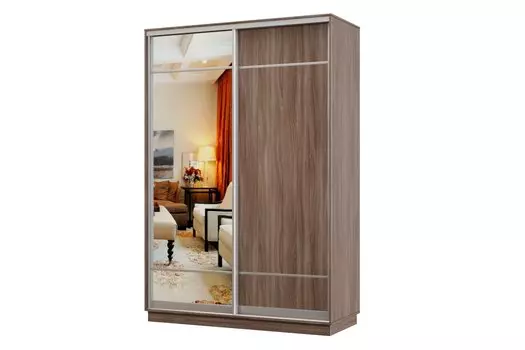 Шкаф-купе 2-дверный Практик МИНИ