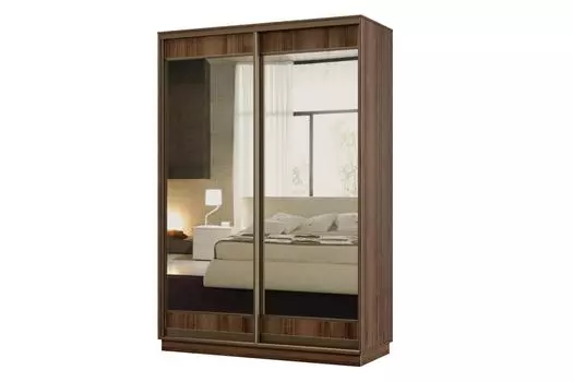 Шкаф-купе 2-дверный Практик МИНИ