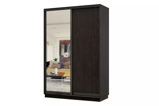 Шкаф-купе 2-дверный Практик МИНИ