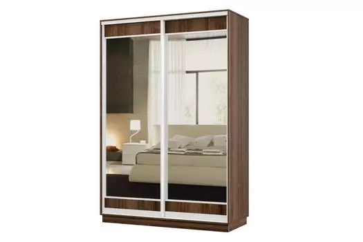 Шкаф-купе 2-дверный Практик МИНИ