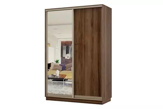 Шкаф-купе 2-дверный Практик МИНИ