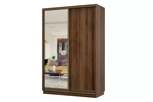 Шкаф-купе 2-дверный Практик МИНИ