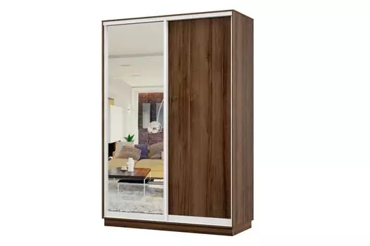 Шкаф-купе 2-дверный Практик МИНИ