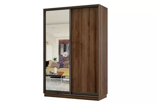 Шкаф-купе 2-дверный Практик МИНИ