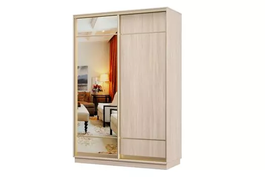 Шкаф-купе 2-дверный Практик МИНИ