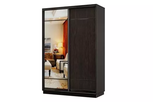 Шкаф-купе 2-дверный Практик МИНИ