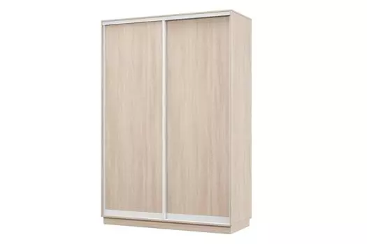 Шкаф-купе 2-дверный Практик МИНИ
