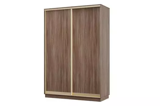 Шкаф-купе 2-дверный Практик МИНИ