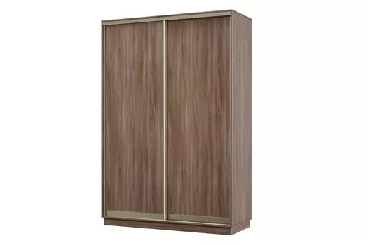 Шкаф-купе 2-дверный Практик МИНИ