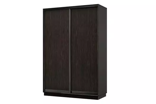 Шкаф-купе 2-дверный Практик МИНИ