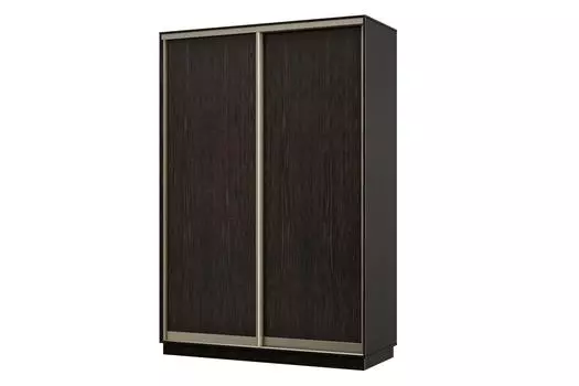 Шкаф-купе 2-дверный Практик МИНИ