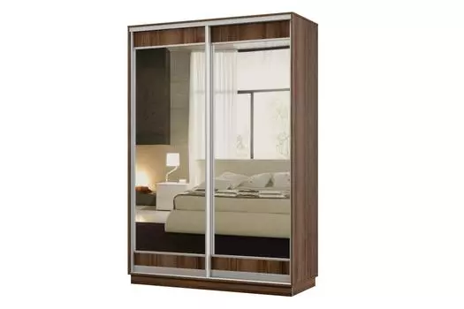 Шкаф-купе 2-дверный Практик МИНИ