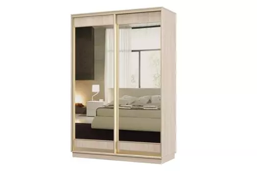 Шкаф-купе 2-дверный Практик МИНИ