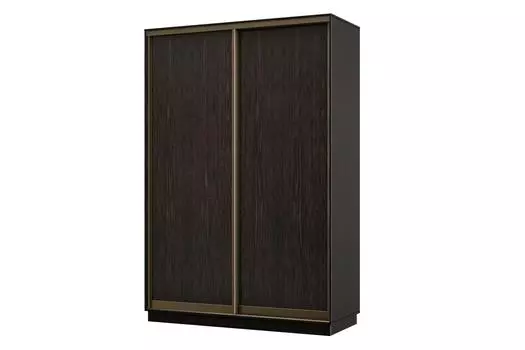 Шкаф-купе 2-дверный Практик МИНИ