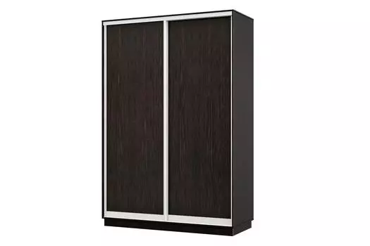 Шкаф-купе 2-дверный Практик МИНИ