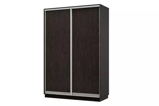 Шкаф-купе 2-дверный Практик МИНИ