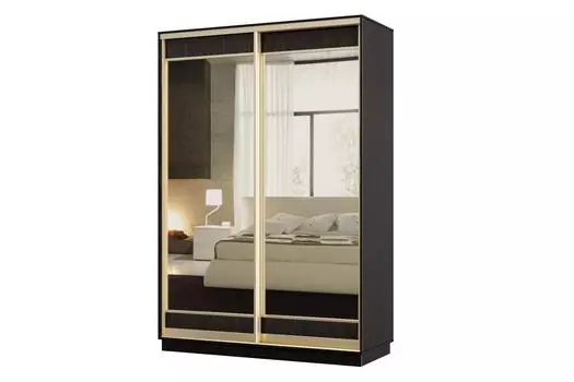 Шкаф-купе 2-дверный Практик МИНИ