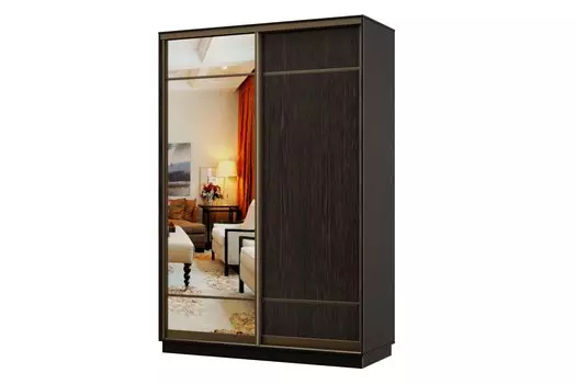 Шкаф-купе 2-дверный Практик МИНИ