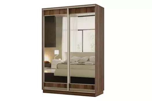 Шкаф-купе 2-дверный Практик МИНИ