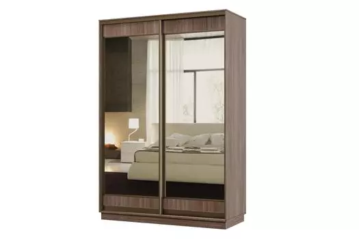 Шкаф-купе 2-дверный Практик МИНИ