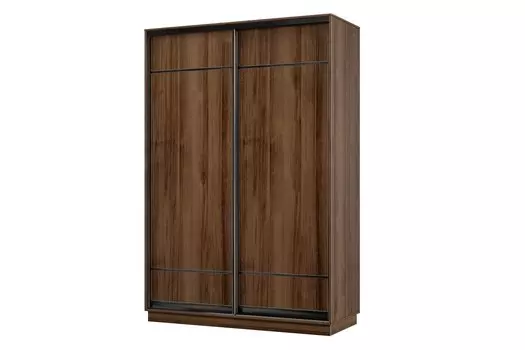 Шкаф-купе 2-дверный Практик МИНИ