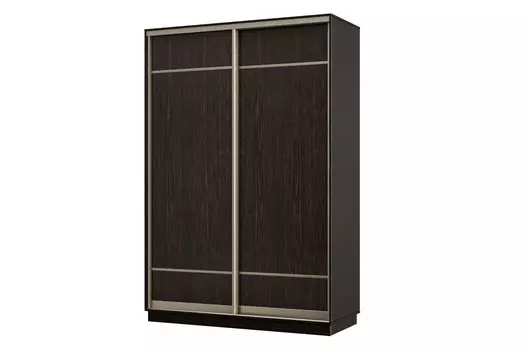 Шкаф-купе 2-дверный Практик МИНИ