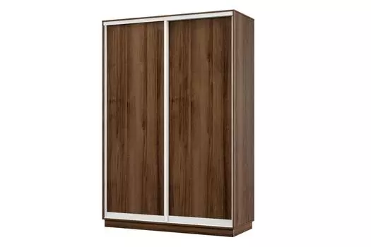 Шкаф-купе 2-дверный Практик МИНИ