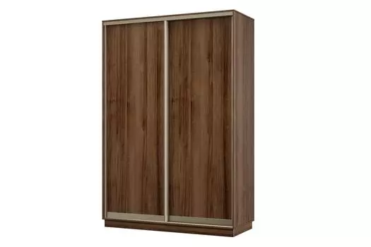 Шкаф-купе 2-дверный Практик МИНИ