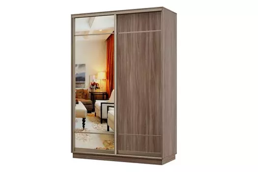 Шкаф-купе 2-дверный Практик МИНИ