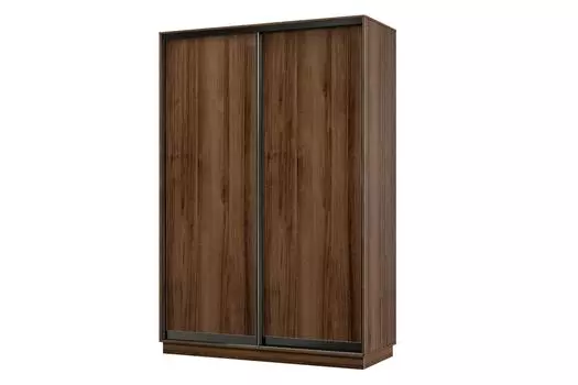 Шкаф-купе 2-дверный Практик МИНИ