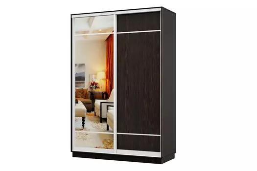 Шкаф-купе 2-дверный Практик МИНИ