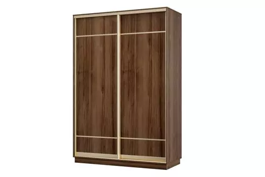 Шкаф-купе 2-дверный Практик МИНИ