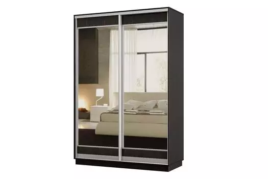 Шкаф-купе 2-дверный Практик МИНИ