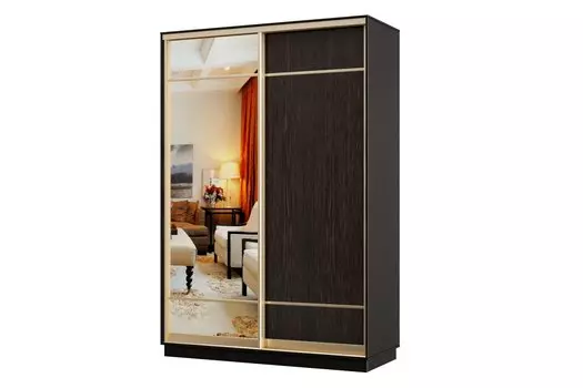 Шкаф-купе 2-дверный Практик МИНИ