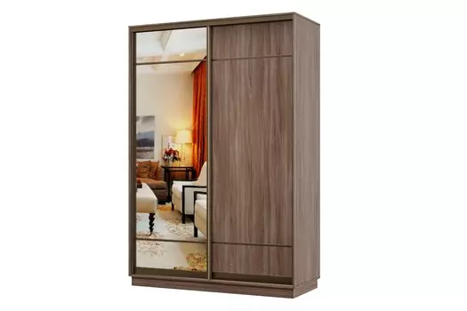 Шкаф-купе 2-дверный Практик МИНИ