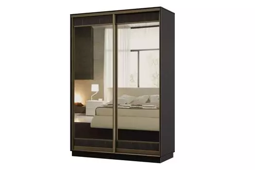 Шкаф-купе 2-дверный Практик МИНИ