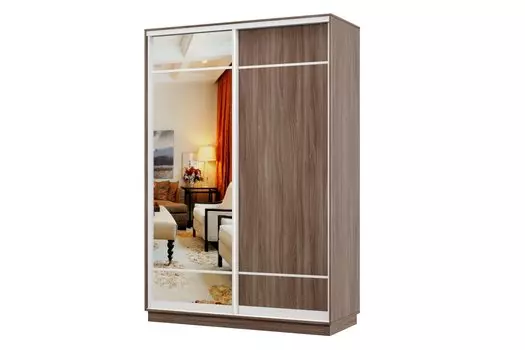 Шкаф-купе 2-дверный Практик МИНИ