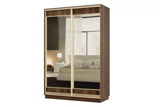 Шкаф-купе 2-дверный Практик МИНИ